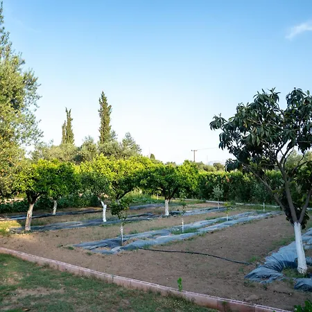 Vakantiehuis Georgias House And Paradise Garden